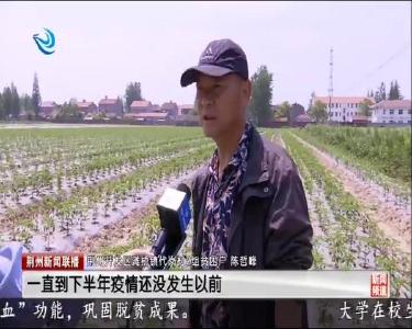 荆州开发区滩桥镇：“产业+就业”巩固脱贫成果