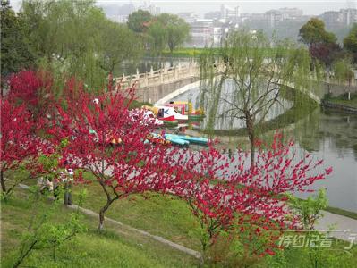 特约记者行：沙市中山公园的那些桥 