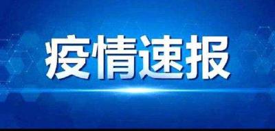 湖北新增无症状感染者12例 转确诊0