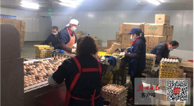 云上荆州区 | 荆州区132名驻企首席代表助企显活力