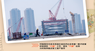 向总书记汇报（下）