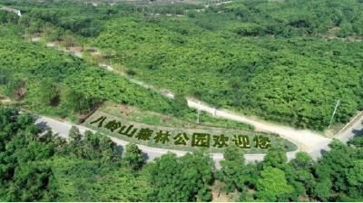 云上荆州区 | 以生态为底 文化为魂 八岭驶入乡村旅游建设“快车道”