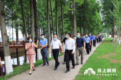 荆州市开展农村人居环境整治拉练活动  