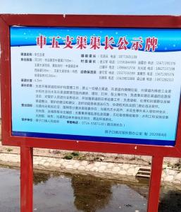 十日会战！看这个乡镇的成果图  