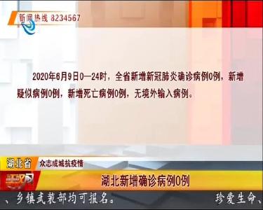 湖北新增确诊病例0例