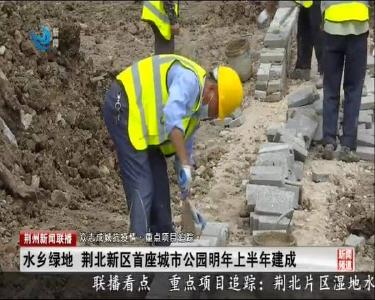 荆州新闻联播 2020-06-20
