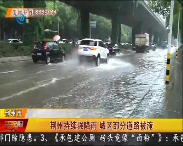 荆州持续强降雨 城区部分道路被淹