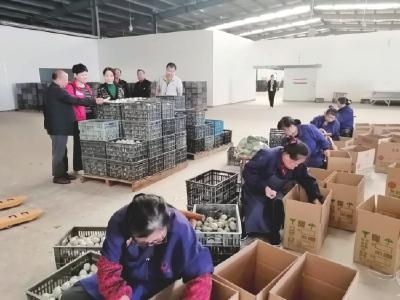 荆州两家企业上榜全国“最美绿色食品企业” 