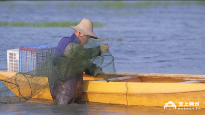 品牌升级让“荆州味道”更有味