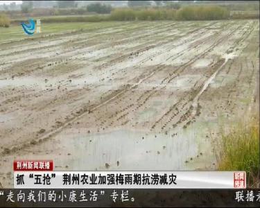 抓“五抢”荆州农业加强梅雨期抗涝减灾