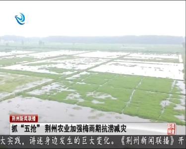 荆州新闻联播 2020-06-23