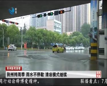 荆州梅雨季 雨水不停歇 清凉模式继续