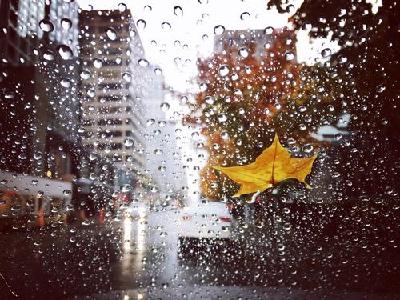 雨水再度上线，26日我市将有大到暴雨