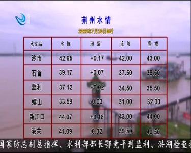 荆州水情 2020-07-29