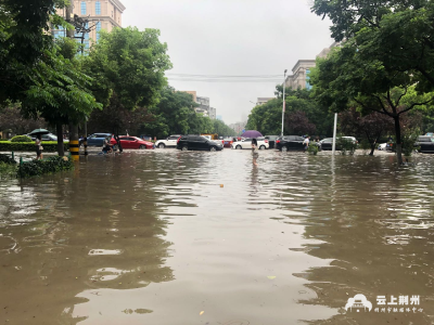 v视丨有人在荆州城内“划船”出行？都是大雨惹的祸！