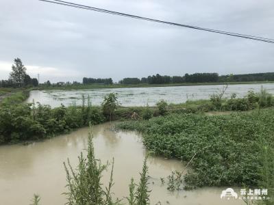 未来几天湖北省还将遭遇强降雨，农民朋友们请注意……
