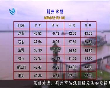 荆州水情 2020-07-10