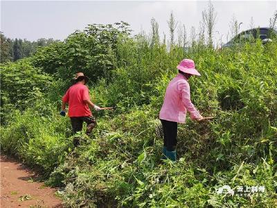 荆州区长江及沿线垸堤已按一线布防