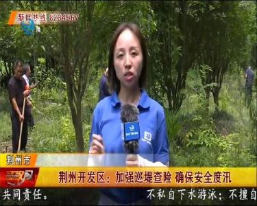 荆州开发区：加强巡堤查险 确保安全度汛