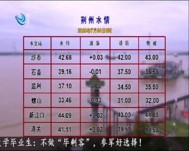 荆州水情 2020-07-30