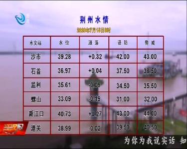 荆州水情 2020-07-15