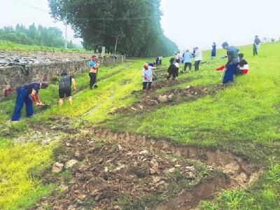 公安县：加密巡堤查险频次 有效筑牢防汛安全网