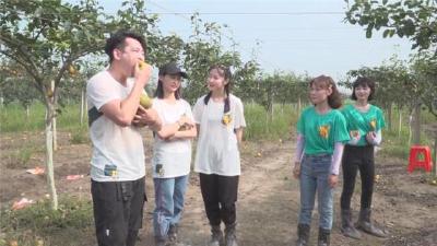 直播带货为“梨”下单 成交额超52万元