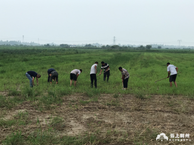 荆州市五医——打造一支不走的扶贫工作队