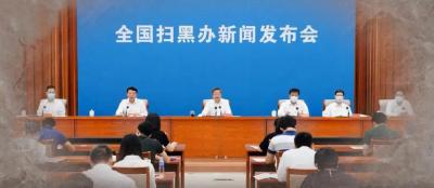黑老大何以把持基层党组织14年 | 镜鉴
