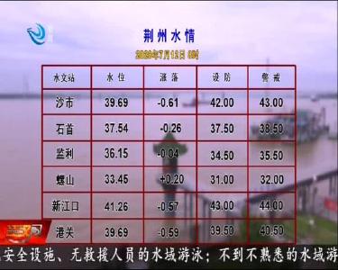 荆州水情 2020-07-12