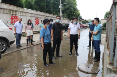云上沙市区 | 区委书记刘辉萍检查城区排涝工作