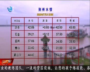 荆州水情 2020-07-21