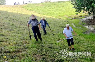 长江防汛进入实战状态 荆州多措并举确保安全度汛