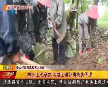 防止江水漫溢 洪湖江滩公园抢筑子堤