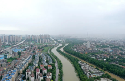 云上荆州区 | 各地超水位运行 荆州区全力以赴开展防洪排涝