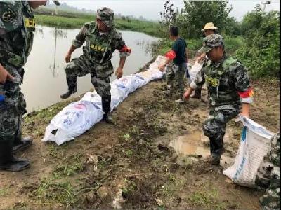 点赞！监利民兵抢险保农田，00后小伙儿有担当！