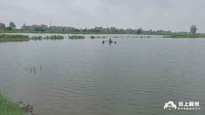 水产养殖应对梅雨洪涝灾害管理技术要点