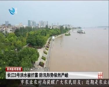 荆州新闻联播 2020-07-28