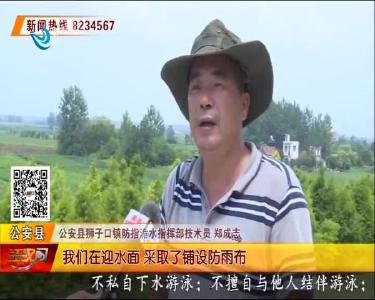 洈水河一堤坝出现险情 防汛人员及时处置