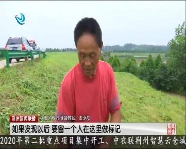 荆州新闻联播 2020-07-08