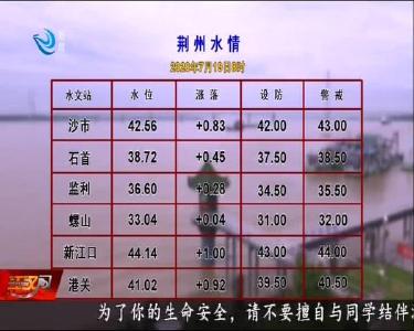 荆州水情 2020-07-19