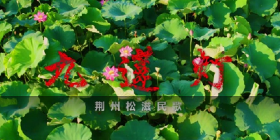 【每周一歌】湖北松滋民歌《九莲灯》