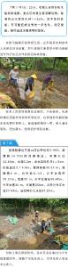 处置给力，这起管涌群险情被及时控制！