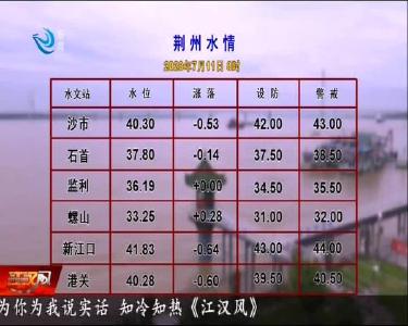 荆州水情 2020-07-11
