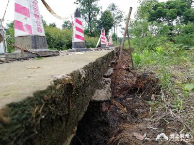 荆州区开展农村公路汛期水毁安全排查