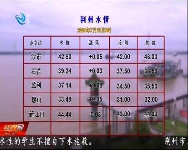 荆州水情 2020-07-22