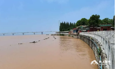 云上荆州区 | 昨日，荆州区长江沿线干支民堤按警戒水位（二线）布防！