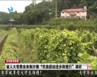 荆州新闻联播 2020-07-18