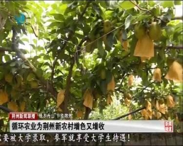 循环农业为荆州新农村增色又增收