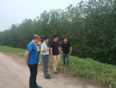 云上荆州区 | 荆州区检察院：“防汛值守人” 风里雨里在这里